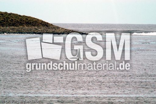 Orca (21 von 59).jpg